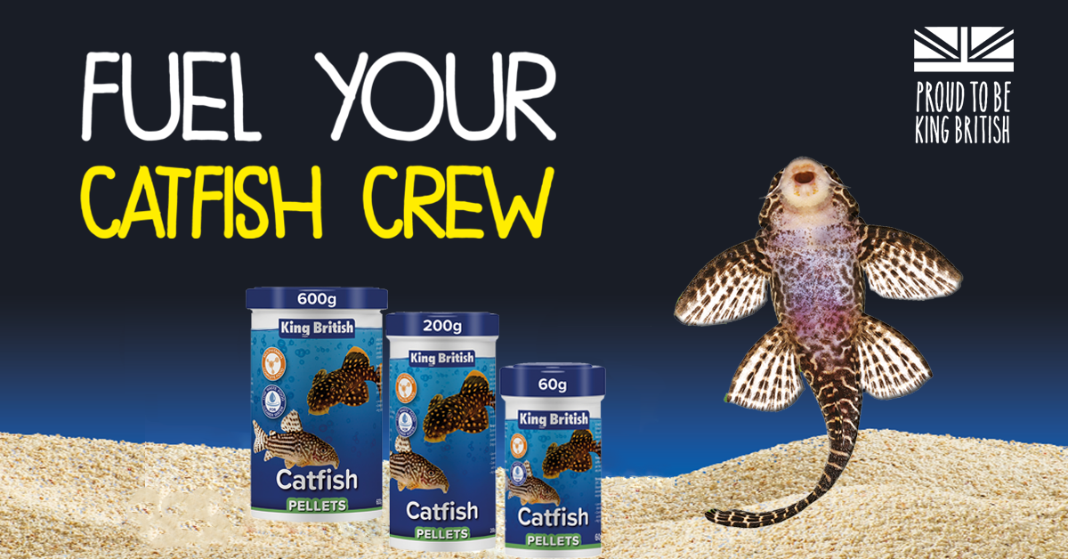 Fuel your catfish crew with specialist food from King British